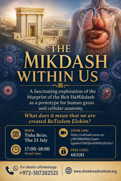 The Mikdash Within Us - lecture for Tisha Be'Av